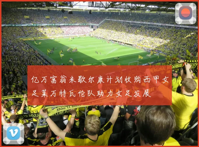 亿万富翁米歇尔康计划收购西甲女足莱万特瓦伦队助力女足发展