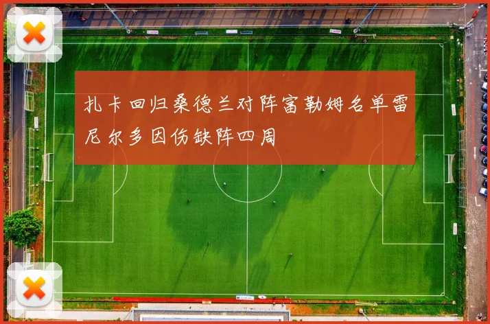 扎卡回归桑德兰对阵富勒姆名单雷尼尔多因伤缺阵四周