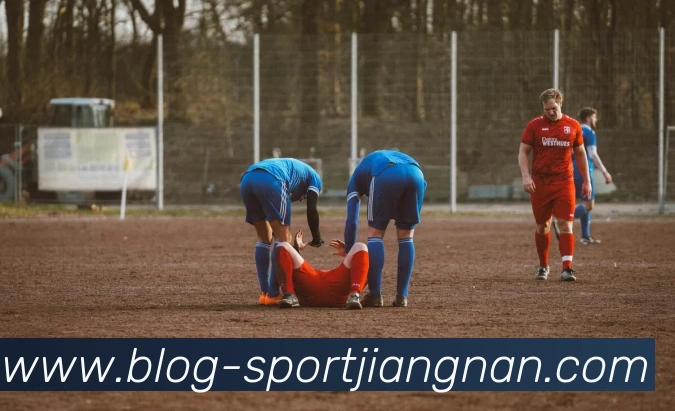 江南体育APP 封面图